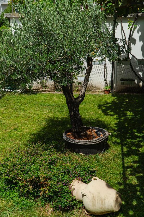 Guest House Buskovic Budva Luaran gambar